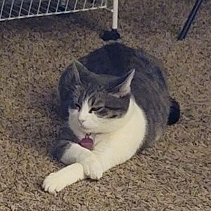 Meet your Posher, CC